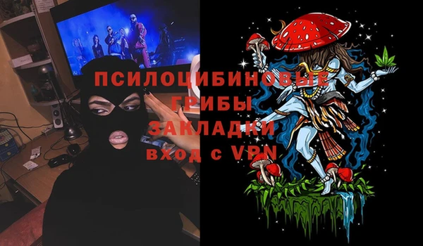 стаф Горно-Алтайск