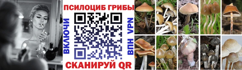 Галлюциногенные грибы Magic Shrooms  Северская 
